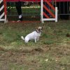 foire-haricots 2011-09-17et18